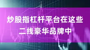 炒股指杠杆平台在这些二线豪华品牌中