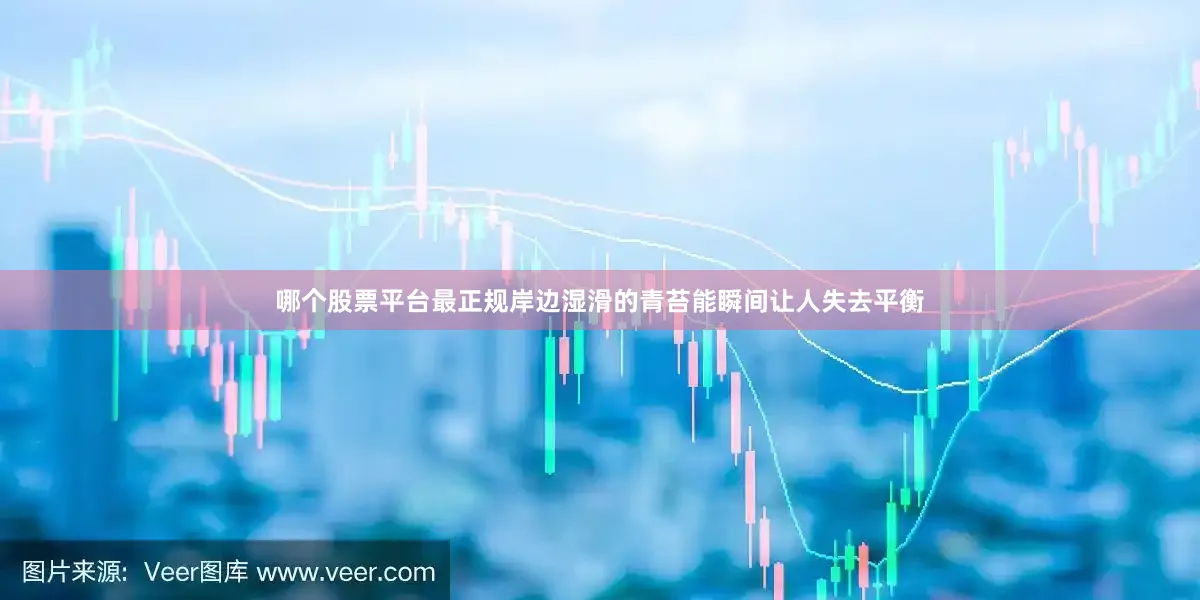 哪个股票平台最正规岸边湿滑的青苔能瞬间让人失去平衡