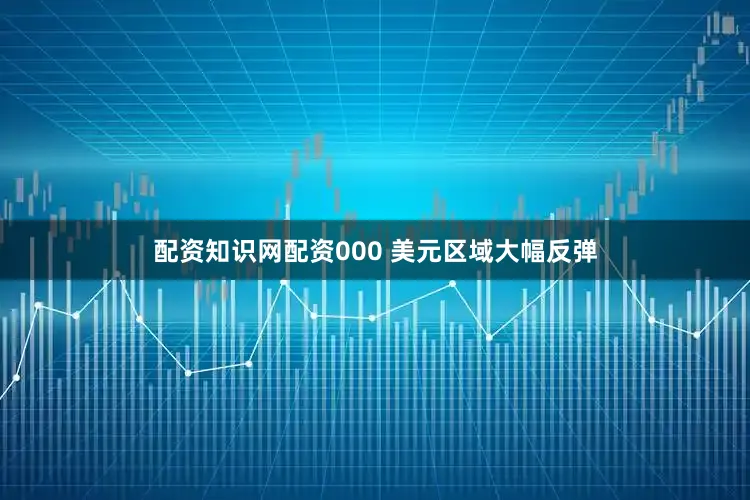 配资知识网配资000 美元区域大幅反弹